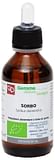 SORBO MACERATO GLICERICO 100 ML BIO