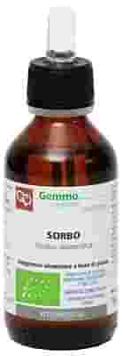 SORBO MACERATO GLICERICO 100 ML BIO
