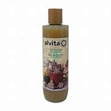 ALVITA GEL DOCCIA NATALE 2023 PAN DI ZENZERO 250 ML
