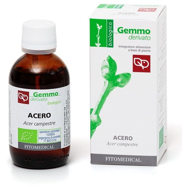 ACERO MACERATO GLICERICO 50 ML BIO