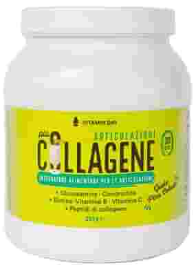 VITAMIN DAY COLLAGENE ARTICOLAZIONI 390 G