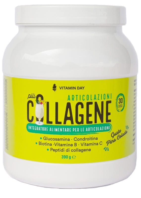 VITAMIN DAY COLLAGENE ARTICOLAZIONI 360 G