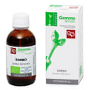 SORBO MACERATO GLICERICO 50 ML BIO