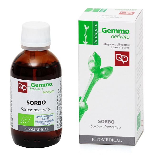 Sorbo Macerato Glicerico 50 Ml Bio