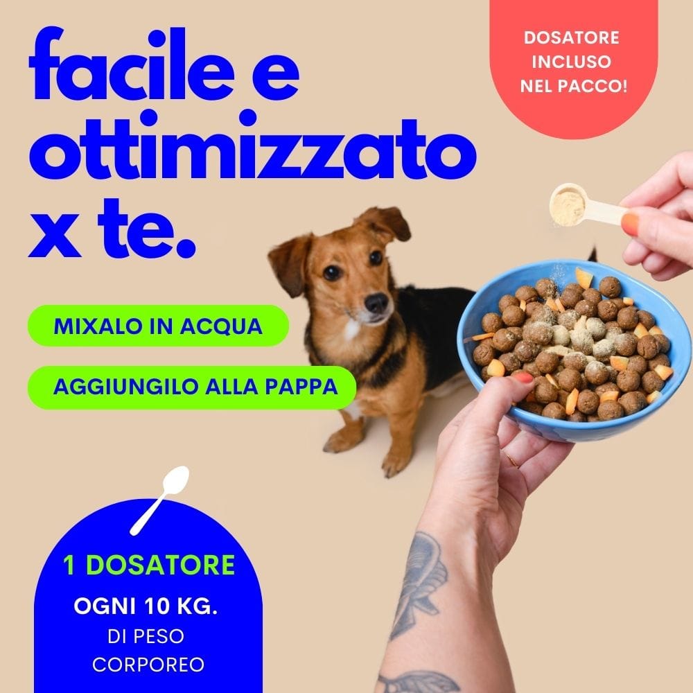 JAMPY MANGIME COMPLEMENTARE SUPPORTO ARTICOLARI MY HEALTHY JONTS 90 G