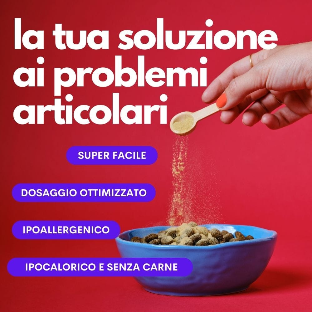 JAMPY MANGIME COMPLEMENTARE SUPPORTO ARTICOLARI MY HEALTHY JONTS 90 G