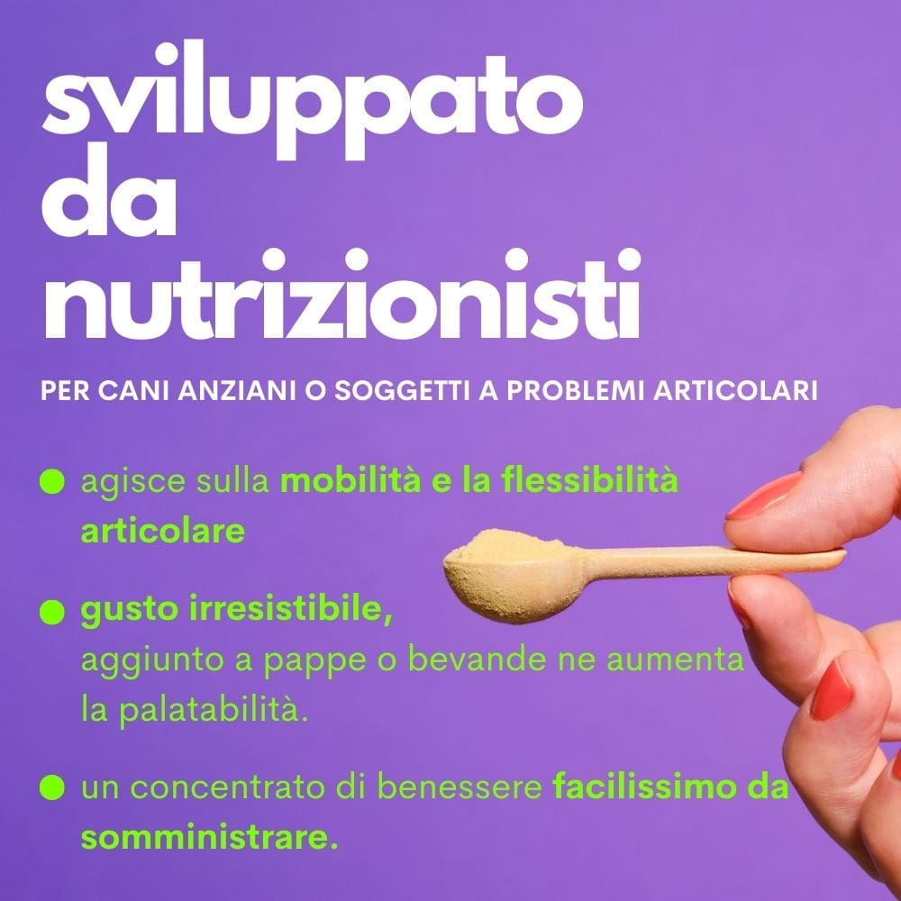JAMPY MANGIME COMPLEMENTARE SUPPORTO ARTICOLARI MY HEALTHY JONTS 90 G