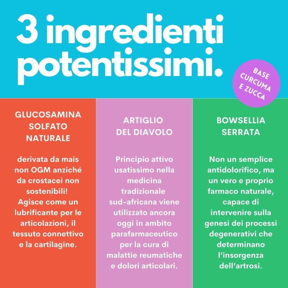 JAMPY MANGIME COMPLEMENTARE SUPPORTO ARTICOLARI MY HEALTHY JONTS 90 G