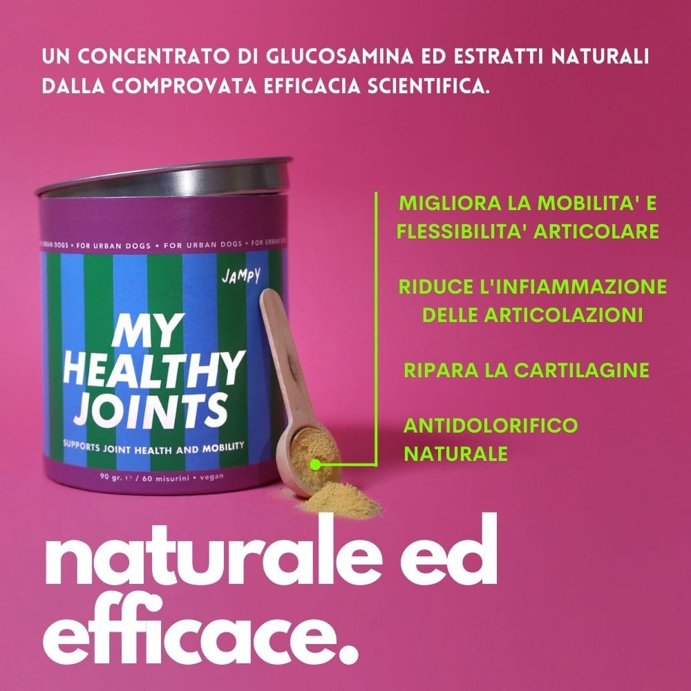 JAMPY MANGIME COMPLEMENTARE SUPPORTO ARTICOLARI MY HEALTHY JONTS 90 G