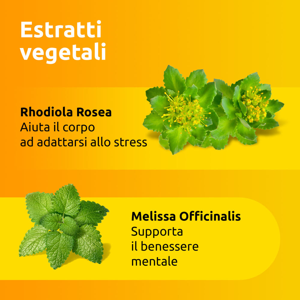 SUPRADYN RICARICA NO STRESS 20 BUSTINE