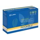 FICOXBLU 14 BUSTINE