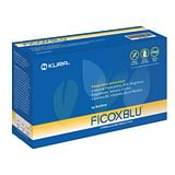 FICOXBLU 14 BUSTINE