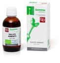 SALICE AMENTI MACERATO GLICERICO 50 ML BIO