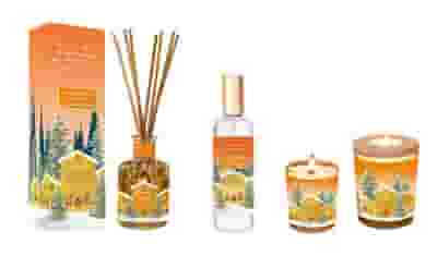 COLLINES BOUQUET PARFUME' DIFFUSORE CON BASTONCINI MANDARINO CANDITO 100 ML