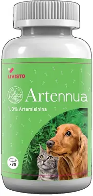 ARTENNUA 90 CAPSULE ARTENNUA 90 CAPSULE