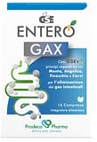 GSE ENTERO GAX 16 COMPRESSE