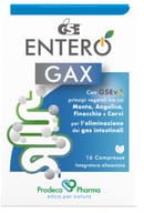 GSE ENTERO GAX 16 COMPRESSE