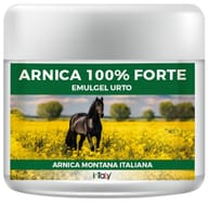 ARNICA 100% FORTE 500 ML