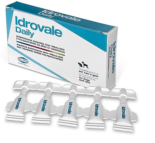 Idrovale Daily 10 Fialette Da 0,5 Ml