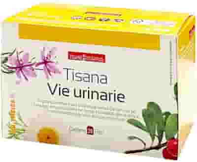 NATURPLUS TISANA VIE URINARIE 20 FILTRI