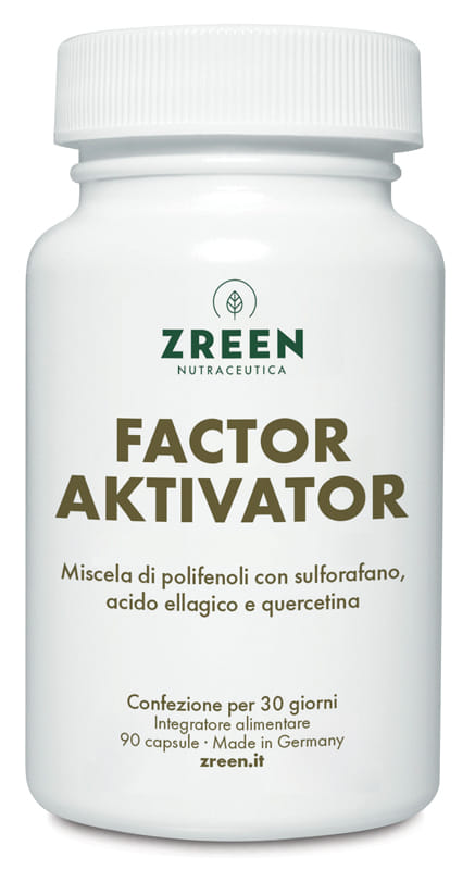 ZREEN FACTOR AKTIVATOR 90 CAPSULE