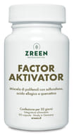 ZREEN FACTOR AKTIVATOR 90 CAPSULE