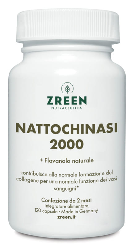 ZREEN NATTOCHINASI 2000 120 CAPSULE