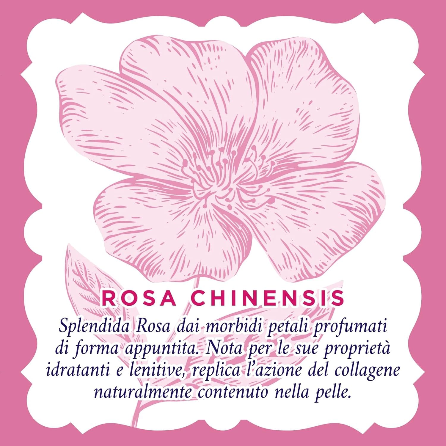 ACQUA ALLE ROSE SALVIETTINE STRUCCANTI LENITIVE 20 PZ