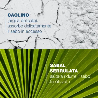 Sabal Argeal shampoo quotidiano sebo-assorbente 200ml Sabal Argeal shampoo quotidiano sebo-assorbente 200ml