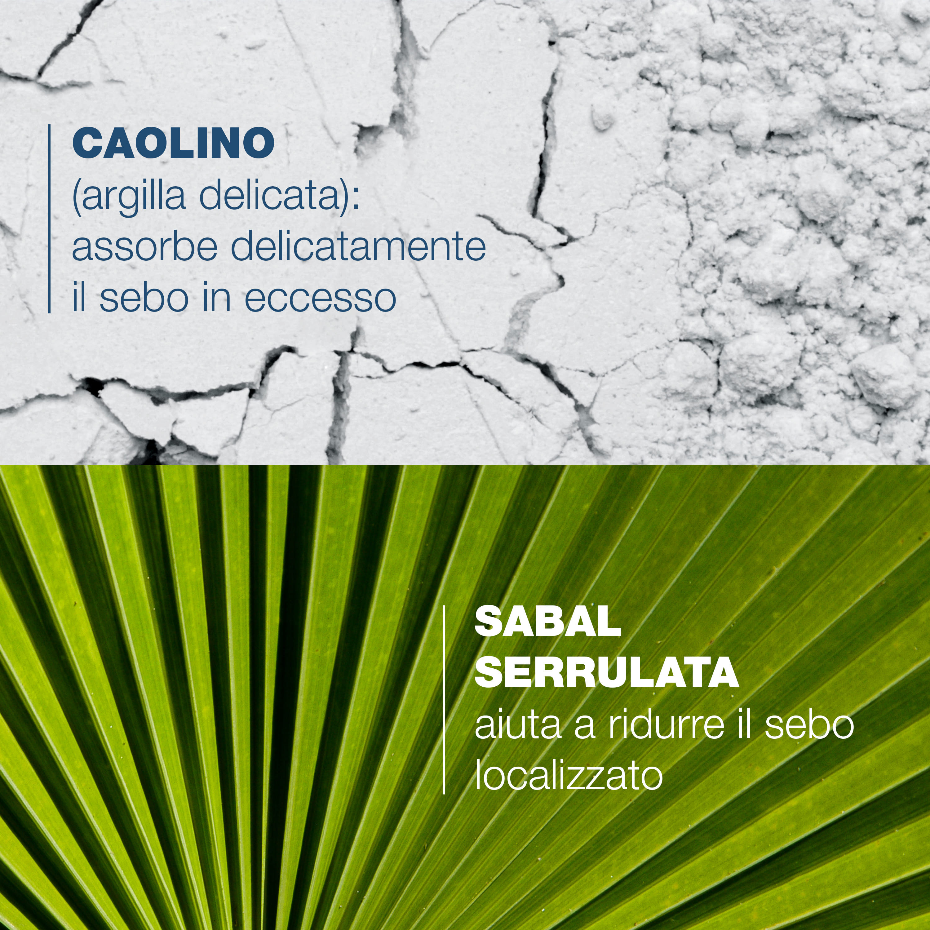 SABAL SHAMPOO QUOTIDIANO 200 ML