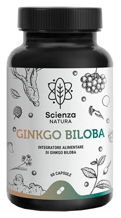 GINKGO BILOBA SN 60 CAPSULE