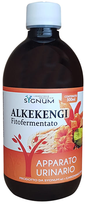 ALKEKENGI 500 ML