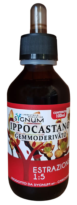 IPPOCASTANO GEMME 100 ML