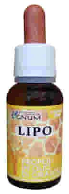 LIPO 20 ML