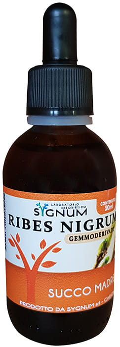 RIBES NIGRUM SUCCO MADRE 50 ML