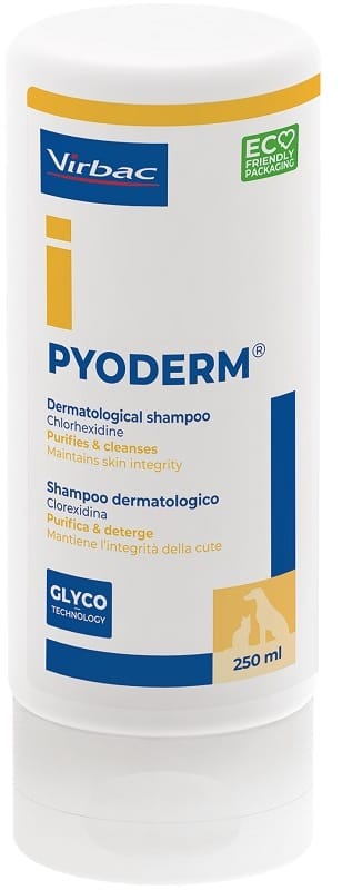 PYODERM SHAMPOO 250 ML | 1000Farmacie