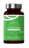 INULINA 100 CAPSULE