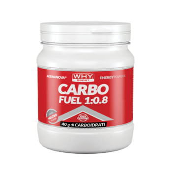 WHYSPORT CARBO FUEL 1:0,8 POLVERE NEUTRO 615 G