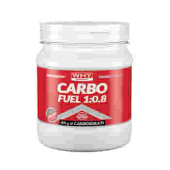 WHYSPORT CARBO FUEL 1:0,8 POLVERE NEUTRO 615 G