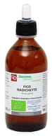 FICO RADICHETTE MACERATO GLICERICO 200 ML BIO