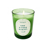 CANDELA 180 G LIME FOGLIE MENTA