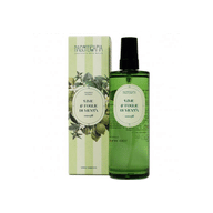SPRAY AMBIENTE LIME FOGLIE E MENTA 100 ML