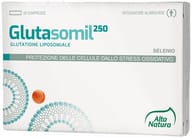 GLUTASOMIL 250 30 COMPRESSE