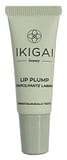 LIP PLUMP RIMPOLPANTE LABBRA 10 ML