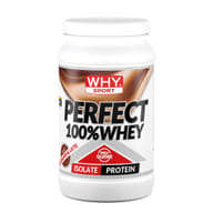 WHYSPORT PERFECT 100% WHEY CIOCCOLATO AL LATTE 450 G