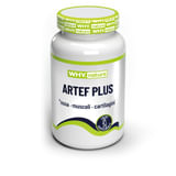 WHYNATURE ARTEF PLUS 60 COMPRESSE