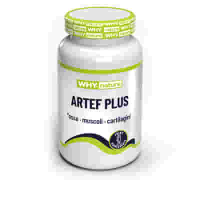 WHYNATURE ARTEF PLUS 60 COMPRESSE
