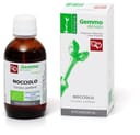 NOCCIOLO MACERATO GLICERICO 50 ML BIO