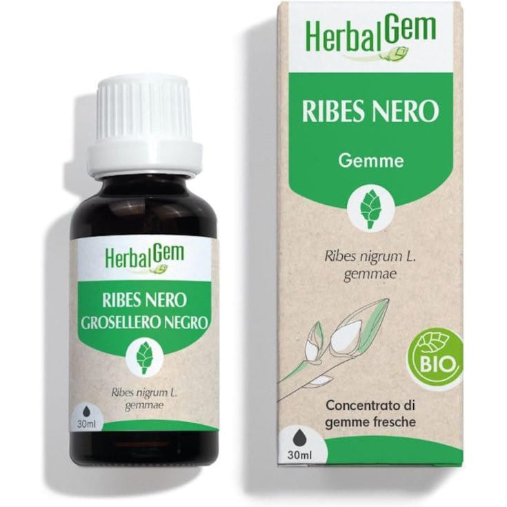 HERBALGEM RIBES NERO GEMMODERIVATO CONCENTRATO BIO 30 ML