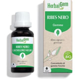 HERBALGEM RIBES NERO GEMMODERIVATO CONCENTRATO BIO 30 ML